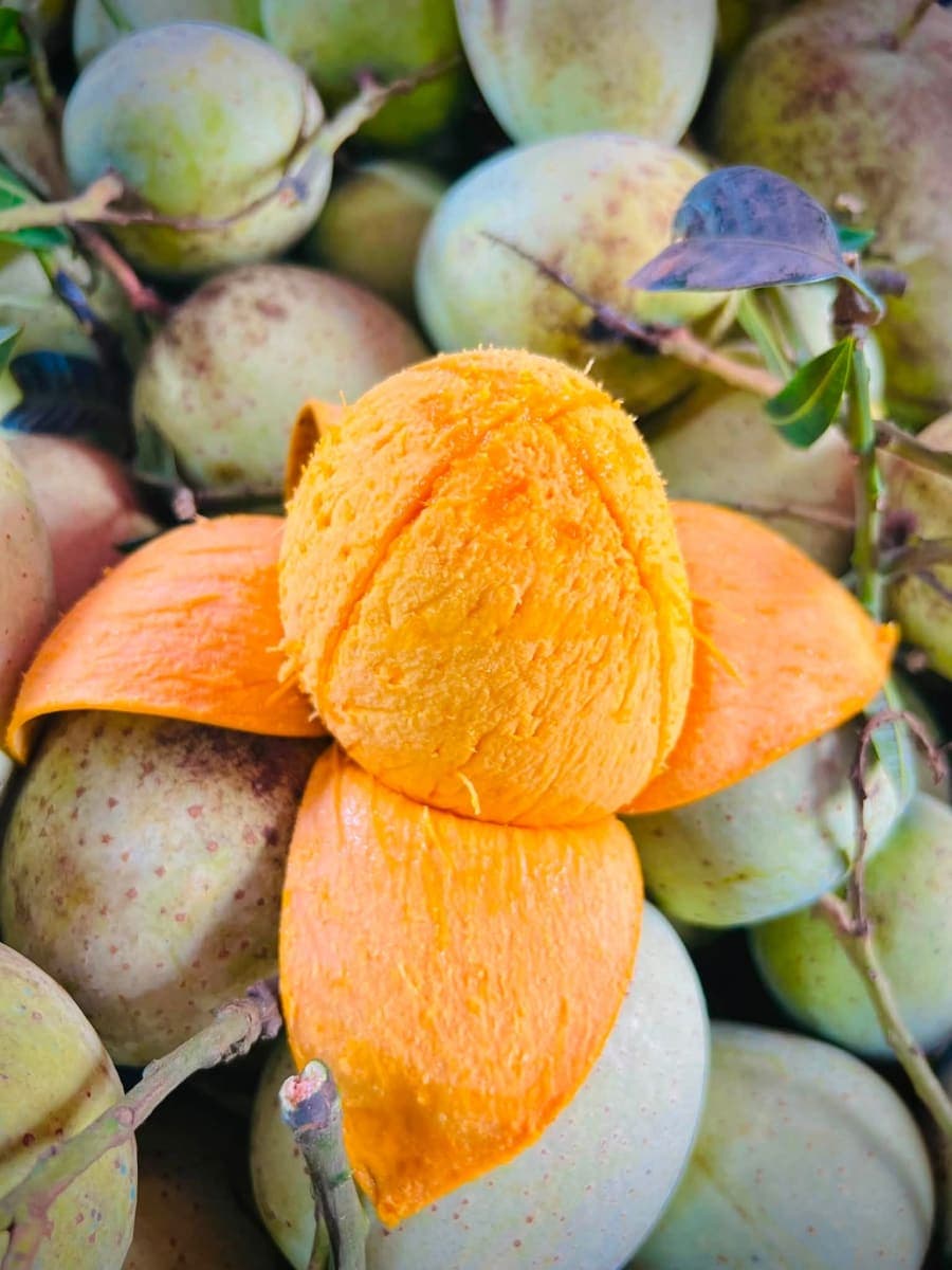 Gouromoti Mango
